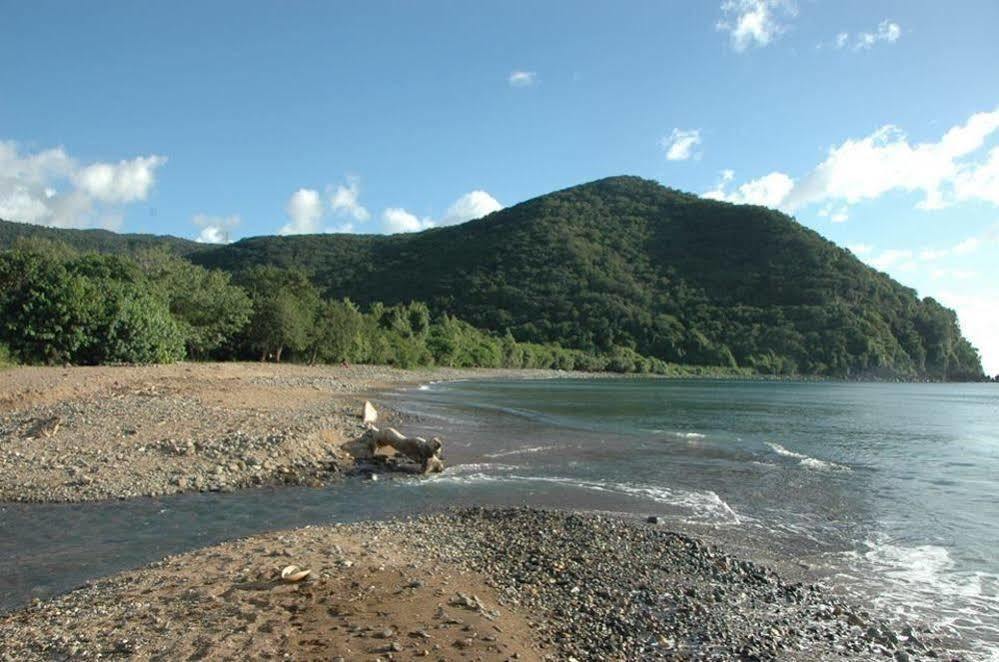 Bungalow Papaye Pointe-Noire Luaran gambar