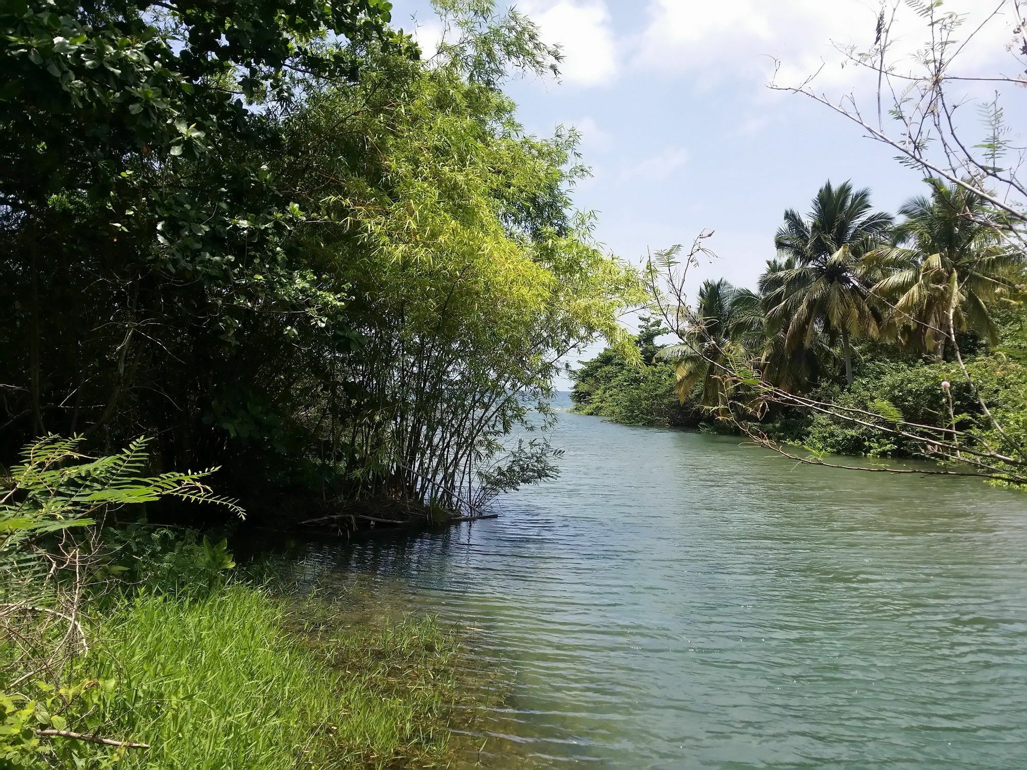 Bungalow Papaye Pointe-Noire Luaran gambar